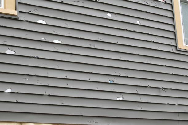 Best Fascia and Soffit Installation  in Castlewood, VA