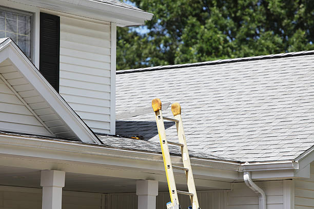 Best Historical Building Siding Restoration  in Castlewood, VA